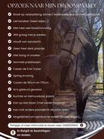 Paard gezocht!, Dieren en Toebehoren, Paarden