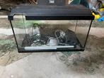 Aquarium met alle toebehoringen, Ophalen, Zo goed als nieuw