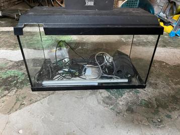 Aquarium met alle toebehoringen beschikbaar voor biedingen