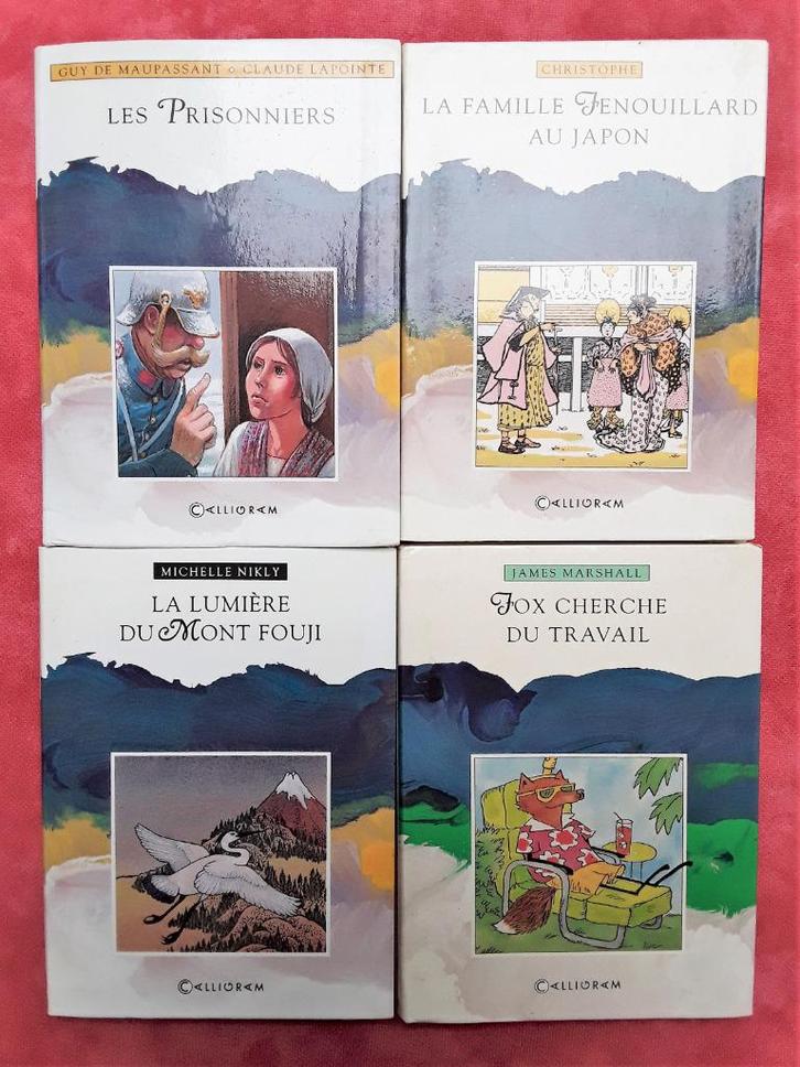 Lot 4 livres illustrés en français - collection Rayon Bleu, Livres, Livres pour enfants | 4 ans et plus, Utilisé, Enlèvement