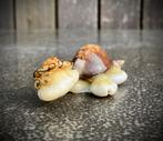 Set van 3 schildpadjes gemaakt uit schelpjes, Ophalen of Verzenden, Nieuw