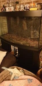 Je wel aquarium met meubel, Dieren en Toebehoren, Ophalen, Zo goed als nieuw