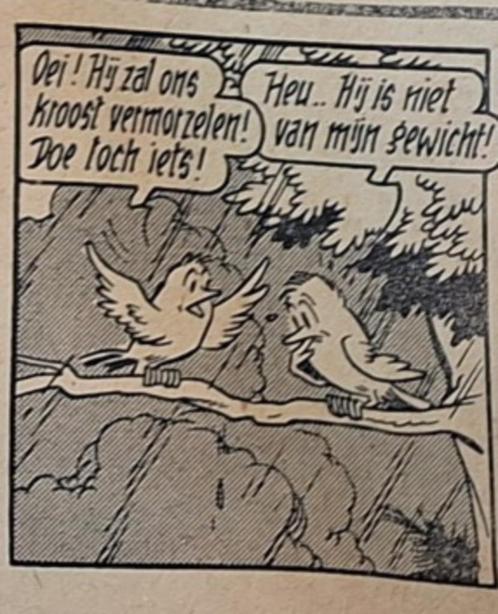 Vandersteen Rode Ridder Suske Pats - Nieuwsblad 8/1/1965, Verzamelen, Stripfiguren, Gebruikt, Overige typen, Suske en Wiske, Ophalen of Verzenden