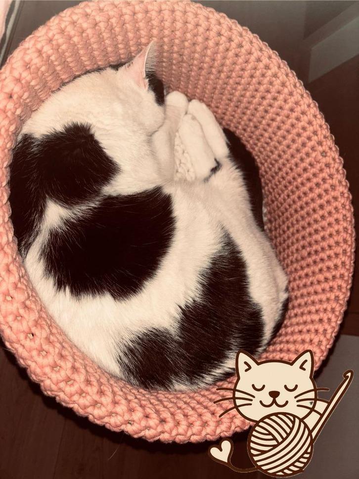 Poezenmanden handgemaakt, Dieren en Toebehoren, Kattenmanden, Nieuw, Wol, Ophalen of Verzenden