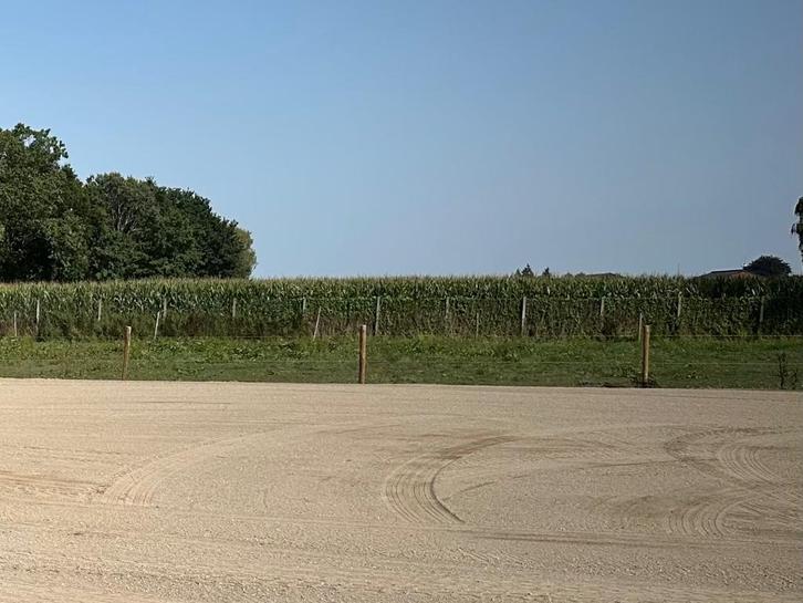 Paarden, Diensten en Vakmensen, Dieren | Paarden | Verzorging, Oppas en Dressuur, Stalling of Weidegang