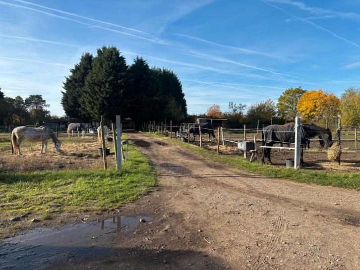 Stalling, Tickets & Billets, Loisirs | Jardins zoologiques