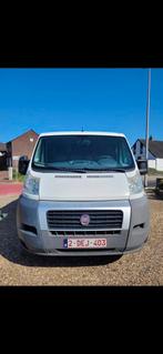 Fiat Ducato 2.2 homologué à vendre+carpass, Autos, Camionnettes & Utilitaires, Cuir, 4 portes, Entreprise, 3 places