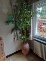 Stenen pot met plastiek plant, Enlèvement