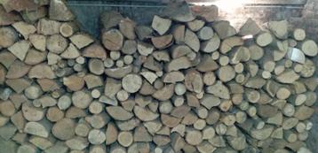 Bois de chauffage sec – prêt à brûler beschikbaar voor biedingen