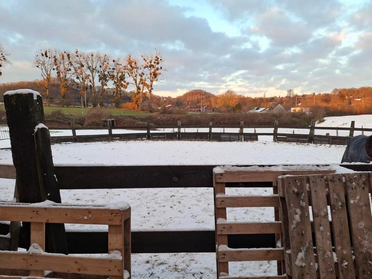 reste boxes de disponible, Tickets & Billets, Concerts | Chanson française