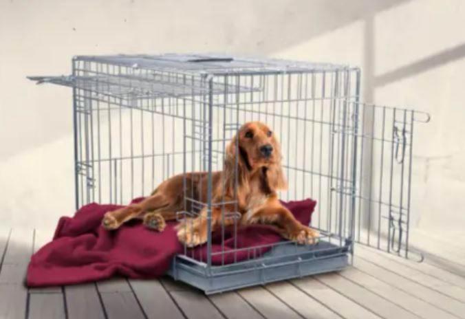 Banc en métal avec porte coulissante, Animaux & Accessoires, Caisses pour chiens, Utilisé, Enlèvement