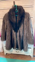 Veste fourrure raton laveur, Kleding | Dames, Ophalen of Verzenden, Gedragen, Maat 42/44 (L), Bruin
