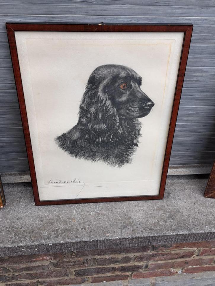 Gravure cocker signe leon danchin, Antiek en Kunst, Kunst | Etsen en Gravures, Ophalen of Verzenden