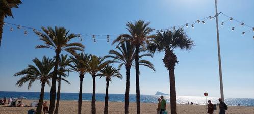Vakantieapp. Benidorm, Vakantie, Vakantiehuizen | Spanje, Costa Blanca, Appartement, Stad, Aan zee, 2 slaapkamers, Eigenaar, Airconditioning