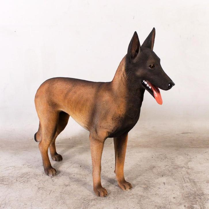 Statue malinois belge — Berger malinois Longueur 97 cm, Collections, Collections Animaux, Neuf, Enlèvement