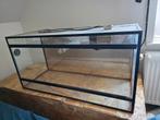 Mooi groot terrarium 1m, Ophalen, Gebruikt, Terrarium of Paludarium