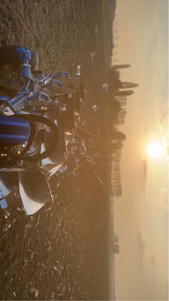 Landbouwwerken, grondbewerking, Zakelijke goederen, Landbouw | Tractoren, Ophalen