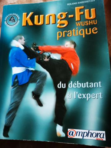 Kung-Fu oefening van beginner tot expert  beschikbaar voor biedingen