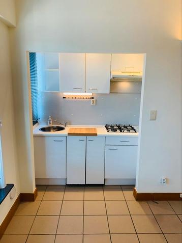 Zuinig appartement te koop beschikbaar voor biedingen