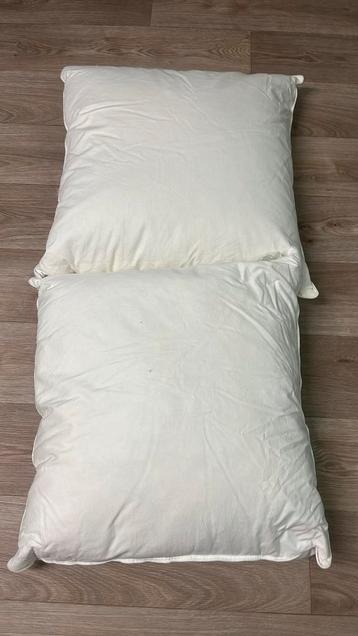 2 hoofdkussens met eendenhalfdons 50x50cm beschikbaar voor biedingen