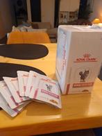 Renal with fish (natte voeding kat), Dieren en Toebehoren, Ophalen