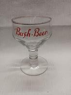 Bierglas Bush Beer Dubuisson Pipaix, Verzamelen, Gebruikt, Ophalen of Verzenden, Gebruiksvoorwerp