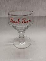 Bierglas Bush Beer Dubuisson Pipaix, Verzamelen, Ophalen of Verzenden, Gebruikt, Gebruiksvoorwerp