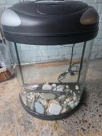 AQUARIUM  poisson, Enlèvement, Utilisé, Aquarium vide