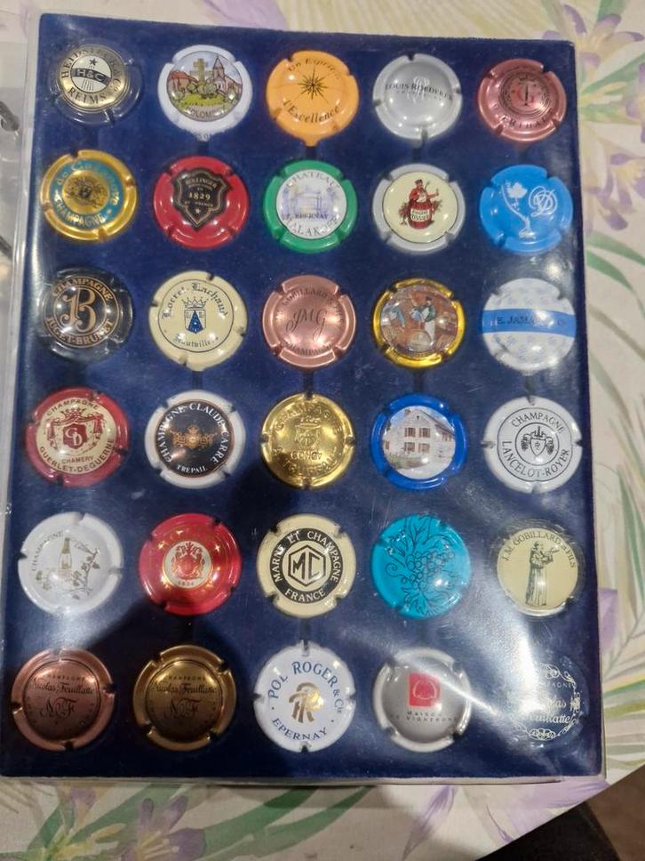 Champagne capsules 650.stuks., Verzamelen, Complete verzamelingen en Collecties, Ophalen