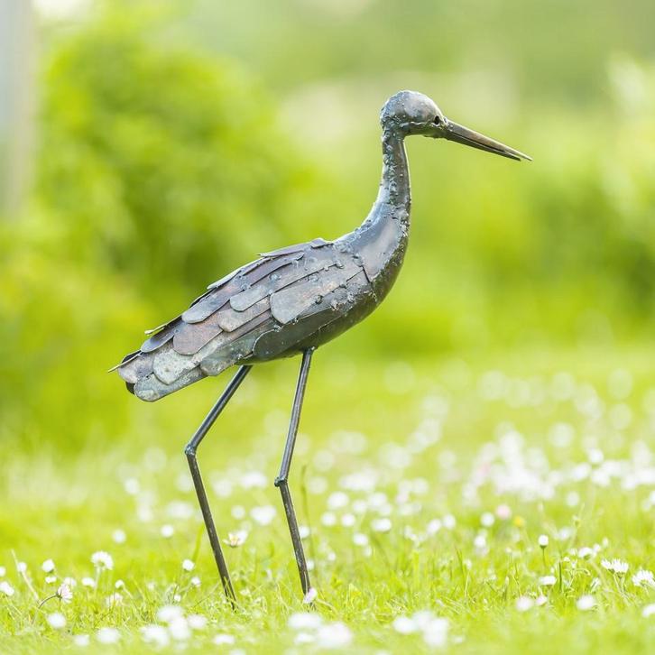 Grutto beeld - Mooievogels, Dieren en Toebehoren, Vogels | Overige Vogels, Wildzangvogel