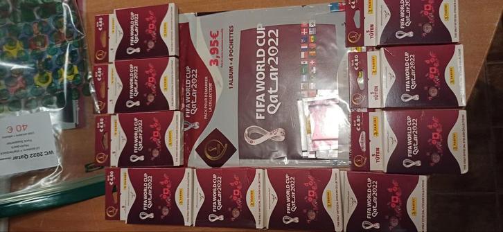 Coupe du monde Panini 2022 Qatar, Hobby & Loisirs créatifs, Autocollants & Images, Enlèvement ou Envoi