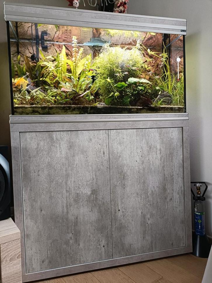Aquarium aquatlantis 200L, Dieren en Toebehoren, Vissen | Aquaria en Toebehoren, Zo goed als nieuw, Ophalen