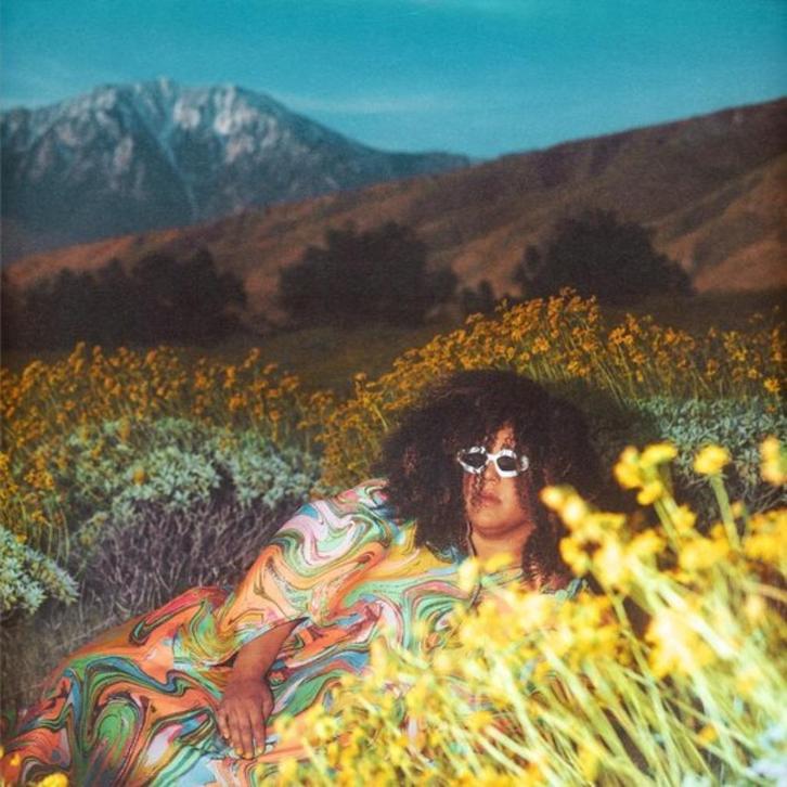 Brittany Howard - What Now (CD), Cd's en Dvd's, Vinyl Singles, Nieuw in verpakking, Ophalen of Verzenden