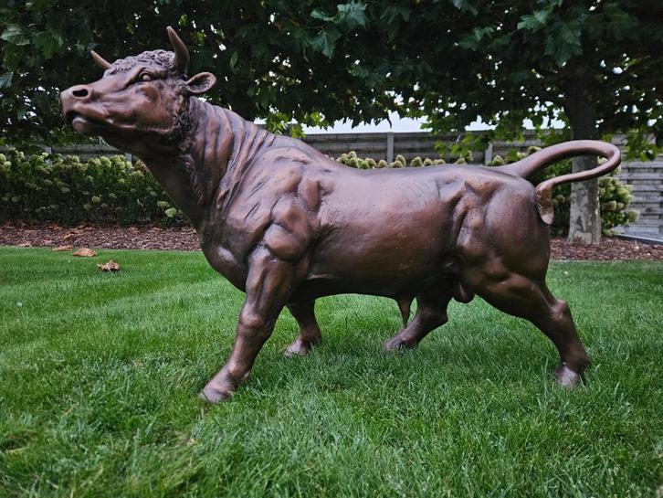 Bronzen prachtige stier, voor keuken, veehandelaar, prachtig, Antiek en Kunst, Antiek | Brons en Koper, Brons, Ophalen of Verzenden