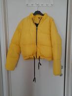 Adorable veste hiver en jaune, Vêtements | Femmes, Vestes | Hiver, Enlèvement ou Envoi, Comme neuf, Jaune