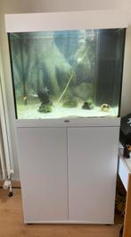 Juwel Led 120L, Ophalen, Gebruikt, Gevuld zoetwateraquarium