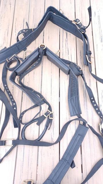 Pony gareel en tuig, Enlèvement, Comme neuf