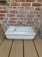WITTE KANARIE KOOI MET TOEBEHOREN NU 25 EURO, Dieren en Toebehoren, Vogels | Hokken en Kooien, Ophalen, Zo goed als nieuw, Overige materialen