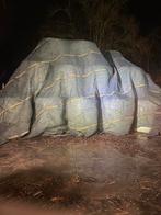 Balen mks te koop, Dieren en Toebehoren, Ophalen, Vee