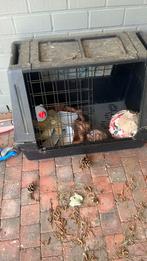 Bankje, Dieren en Toebehoren, Honden-accessoires, Ophalen, Gebruikt