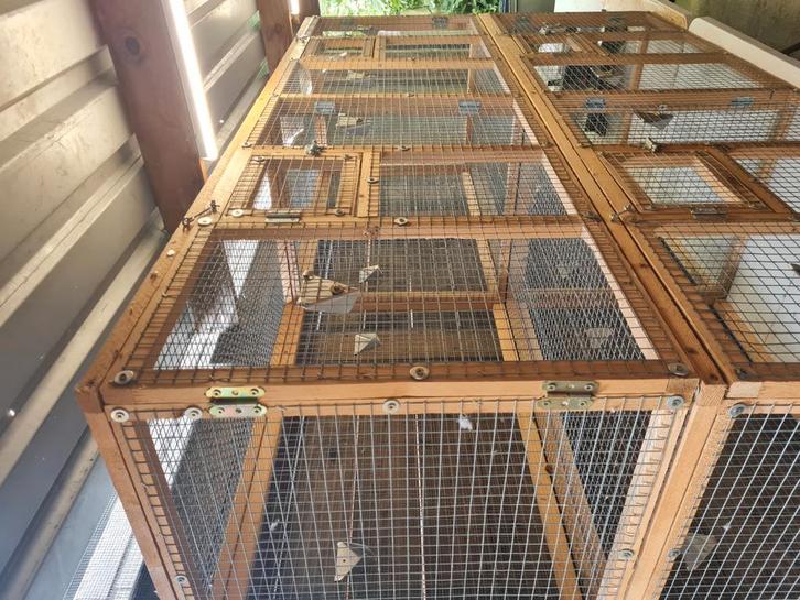 Grote kooien, Dieren en Toebehoren, Vogels | Hokken en Kooien, Zo goed als nieuw, Hout, Ophalen