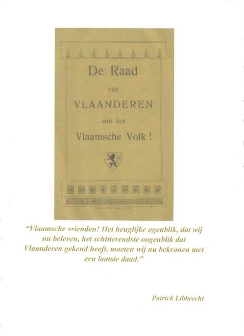 De Raad van Vlaanderen, Boeken, Geschiedenis | Nationaal, Nieuw, 20e eeuw of later, Ophalen of Verzenden