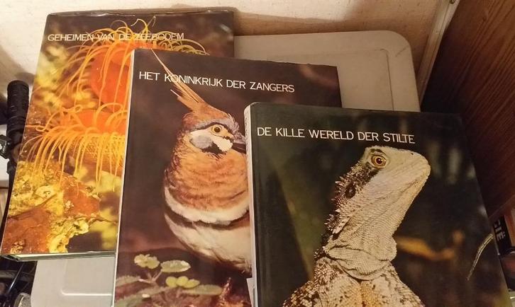 3 dierenboeken Lekturama-encyclopedie, Boeken, Dieren en Huisdieren, Zo goed als nieuw, Vogels, Ophalen