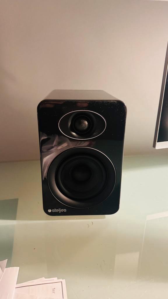 Enceintes actives Steljes Audio (Bluetooth + télécommande, Audio, Tv en Foto, Luidsprekerboxen, Zo goed als nieuw, Ophalen