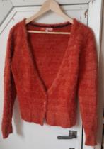 Prachtig vest large. Lola & Liza., Kleding | Dames, Truien en Vesten, Lola & Liza, Maat 42/44 (L), Ophalen of Verzenden, Zo goed als nieuw
