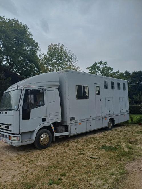Camion iveco Mobilhome et partie chevaux, Caravans en Kamperen, Mobilhomes, Particulier, Ophalen