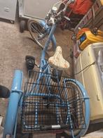 driewielerfiets meisjes, Fietsen en Brommers, Ophalen, Zo goed als nieuw, Tri-bike, Verstelbare zitting