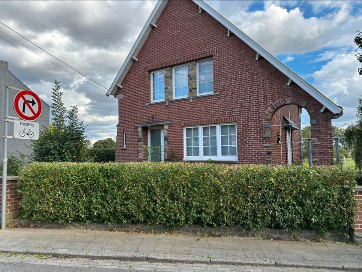 Entretien espaces verts – Taille de haies & arbres, Tuin en Terras, Planten | Bomen, Overige soorten, 400 cm of meer, Volledige schaduw