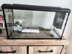Hs aqua platy 110 bio, Dieren en Toebehoren, Ophalen, Zo goed als nieuw, Leeg aquarium