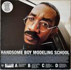 Handsome Boy Modeling School, Ophalen, Gebruikt
